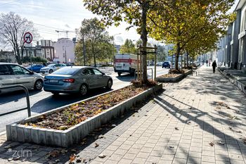 Poznań: Więcej zieleni w centrum. Chłodna i Głogowska mają nowy wygląd