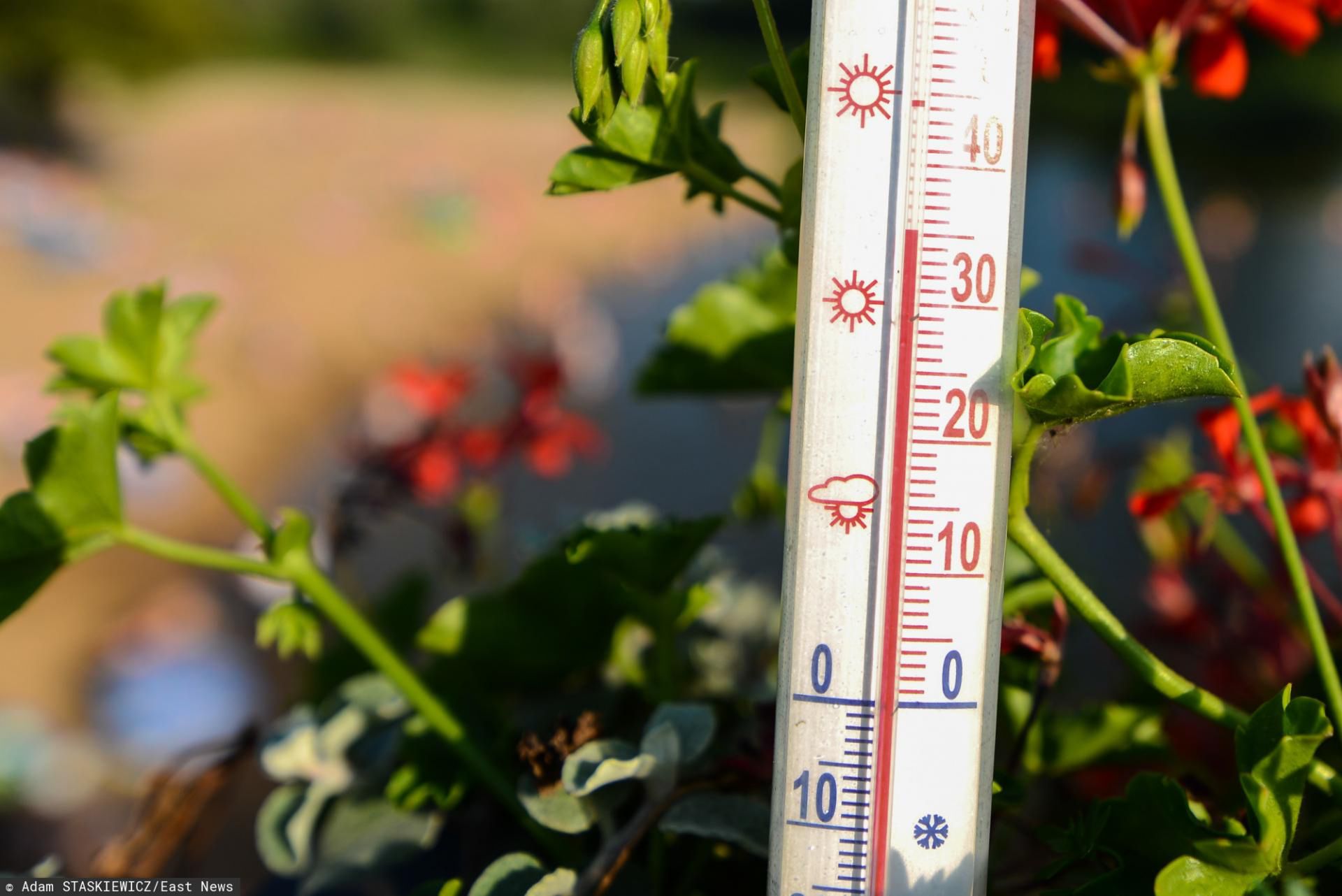 Pogoda może wpływać na skalę rozprzestrzeniania się koronawirusa