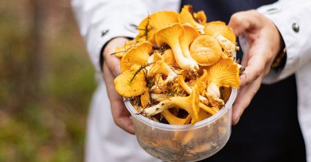 Jak szybko oczyścić kurki? Poznaj genialny trik