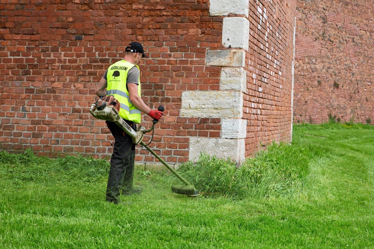 Obudził ją hałas. Narzeka na koszenie. "Komu przeszkadza trawa?"