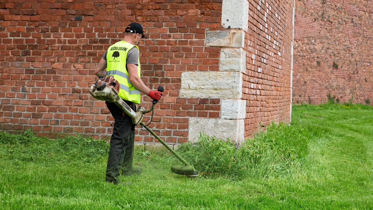 Koszenie trawy budzi wątpliwości w Łodzi.