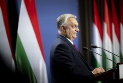 Ograniczenia na Węgrzech ws. pryszczycy. Orban nie zamierza czekać