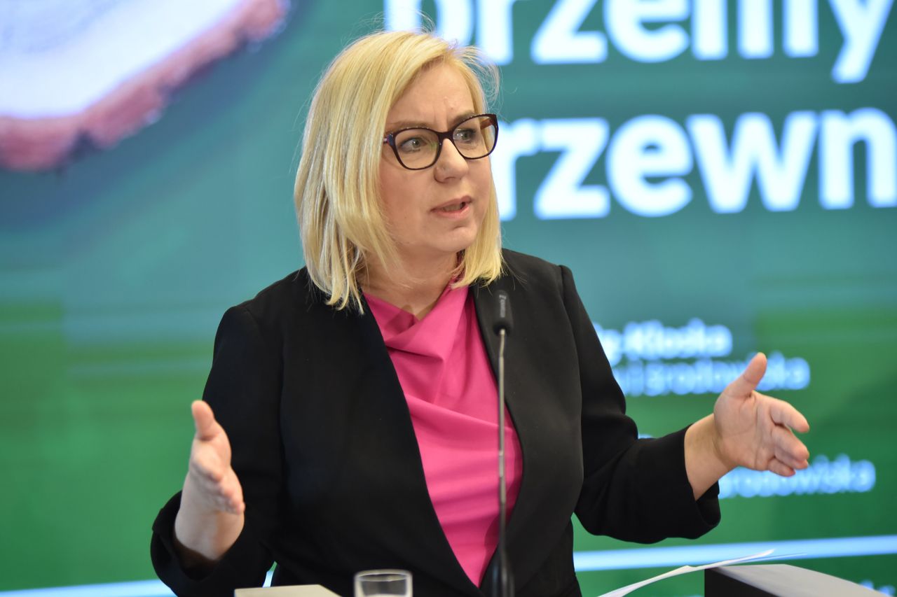 Zmiany w sprzedaży drewna. Ministerstwo przedstawiło nowe zasady