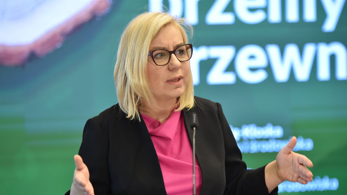 Paulina Henig-Kloska przedstawiła „Pakiet dla przemysłu drzewnego”