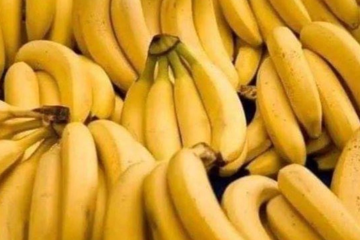 Zdjęcie bananów wzbudziło niemałe emocje