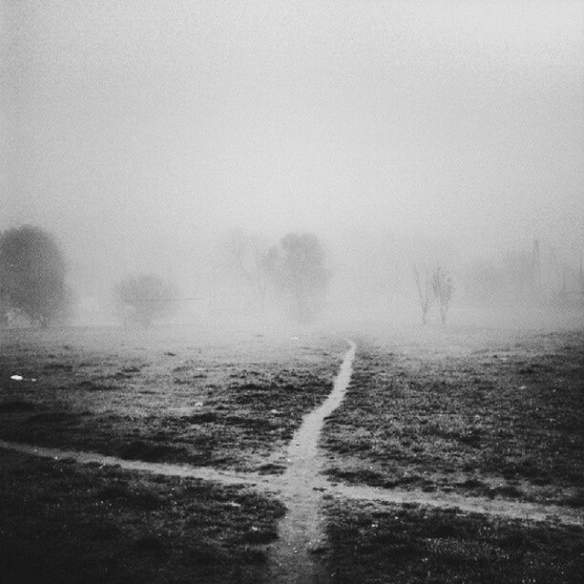 Zobaczcie jakie zdjęcia można zrobić smartfonem. Galeria nagrodzonych prac 17