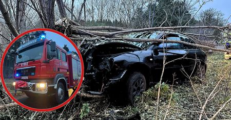 Groźny wypadek w Nadolniku! Auto wylądowało na drzewie po szalonym wyprzedzaniu