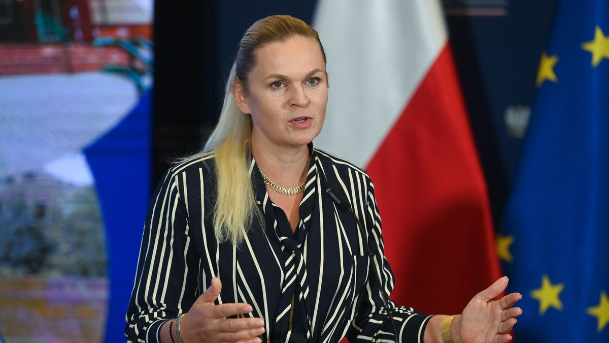 Barbara Nowacka
Piotr Nowak
konferencja, polityk, polityka, prasowa, og�oszenie programu, szko�a, szk�, transformacja, zielona transformacja