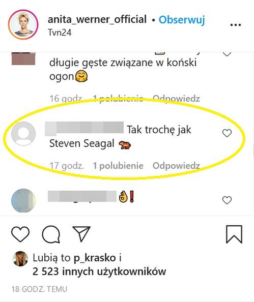 Komentarz na profilu Anity Werner na Instagramie