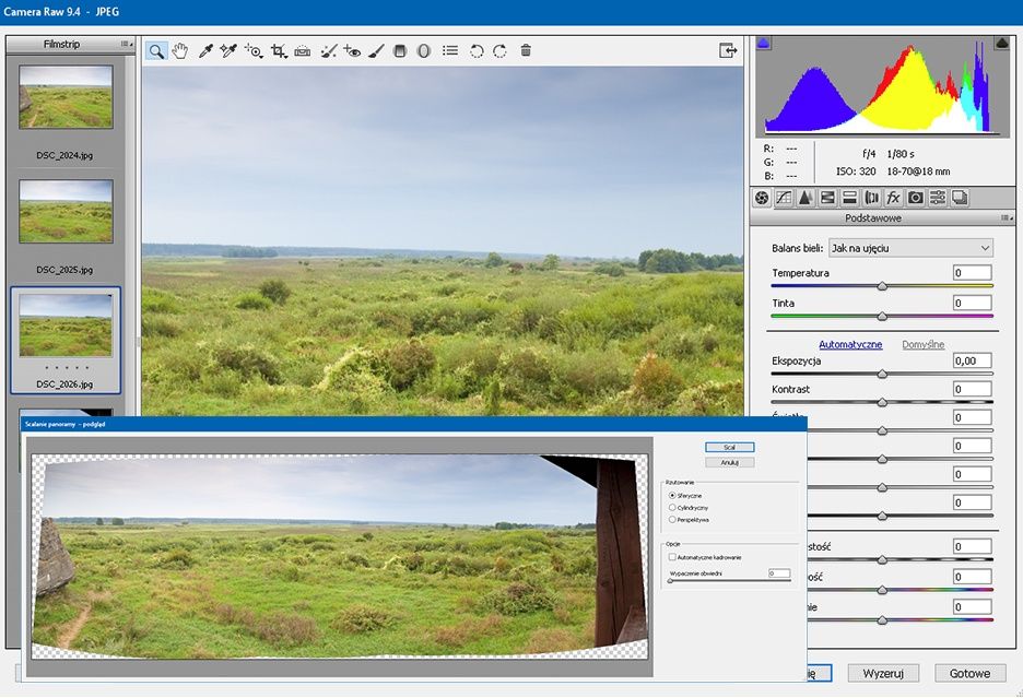 Camera RAW 9.4