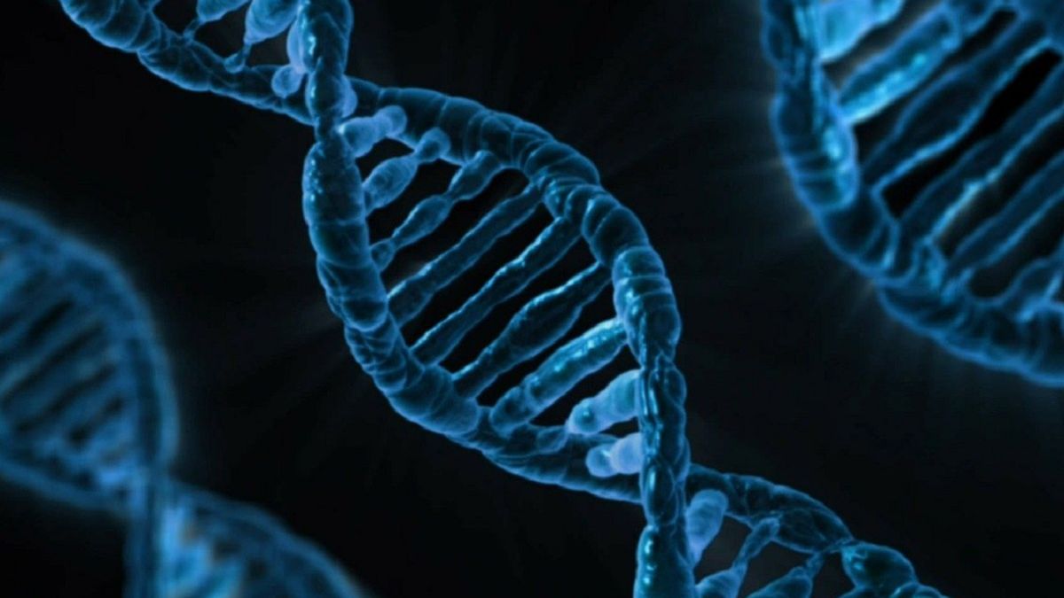 Naukowcy odkryli onkogeny glejaka. 