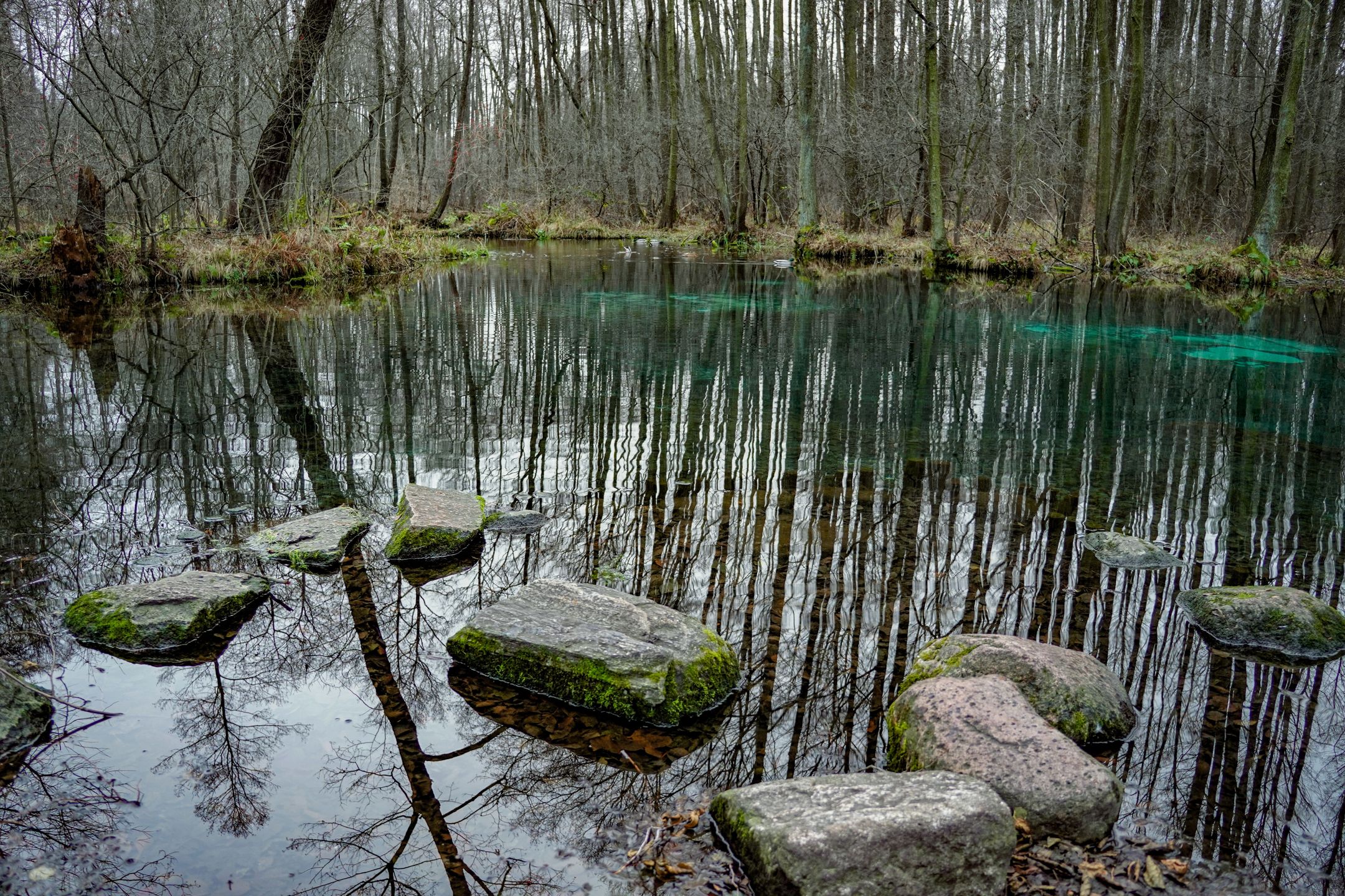 Niebieskie źródła