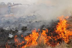 Pożar w Biebrzańskim Parku Narodowym. Strażacy wciąż walczą z ogniem