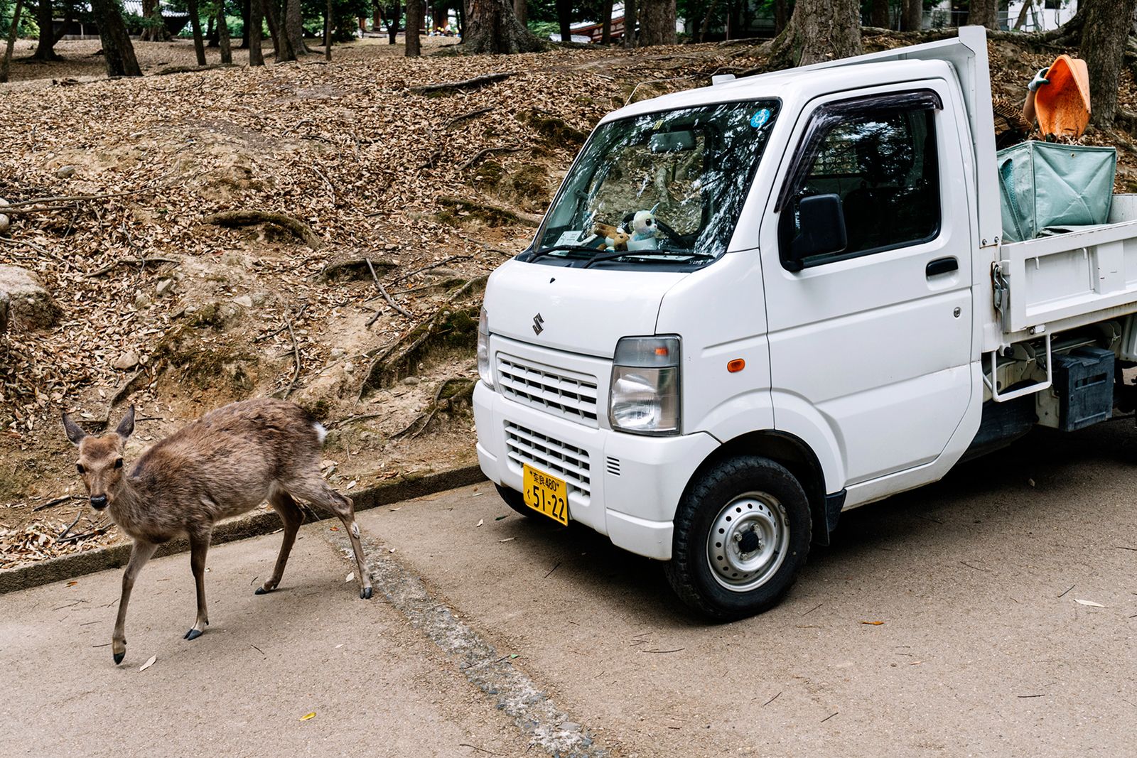 Japonia w obiektywie Damiana Milczarka 8