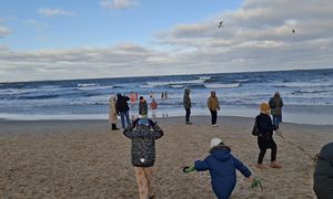 Wideo z Gdańska. Turyści byli w szoku