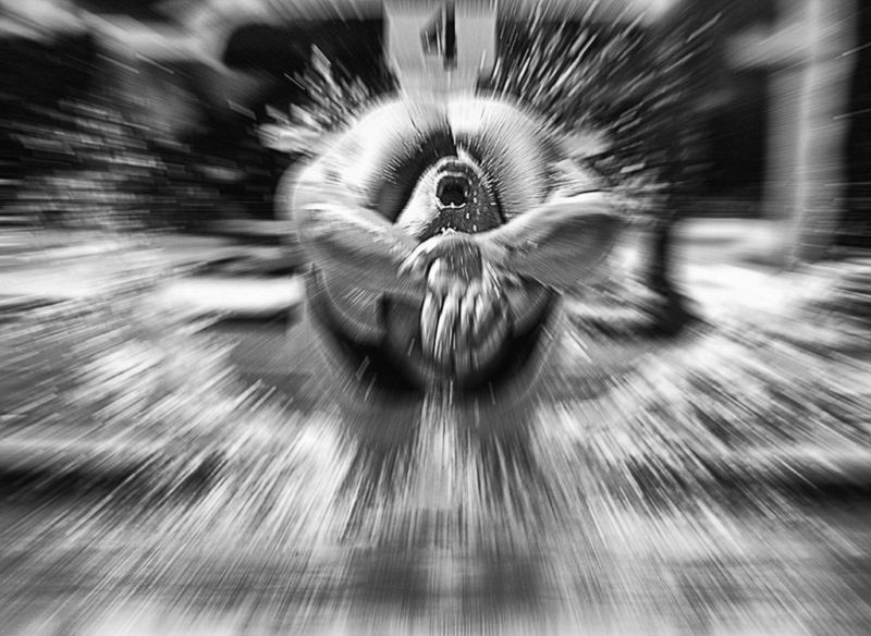 Znamy zwycięzców Black & White Spider Awards. Marek Lapis wielokrotnie wyróżniony 6