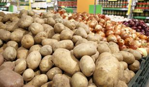 Europa pokochała polskie ziemniaki. Zarabiamy na nich setki milionów