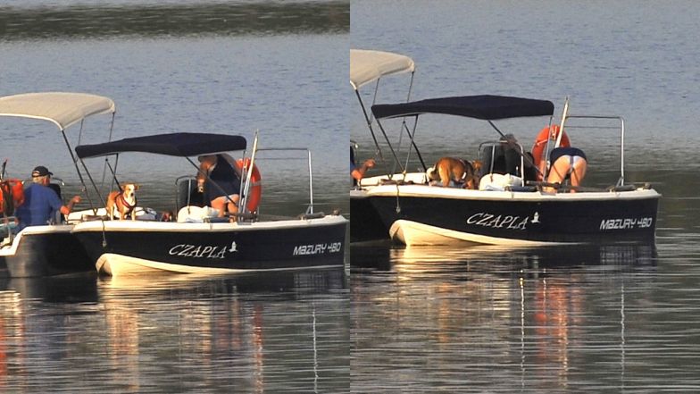 Aleksandra Kwaśniewska relaksuje się na Mazurach z ojcem i suczką