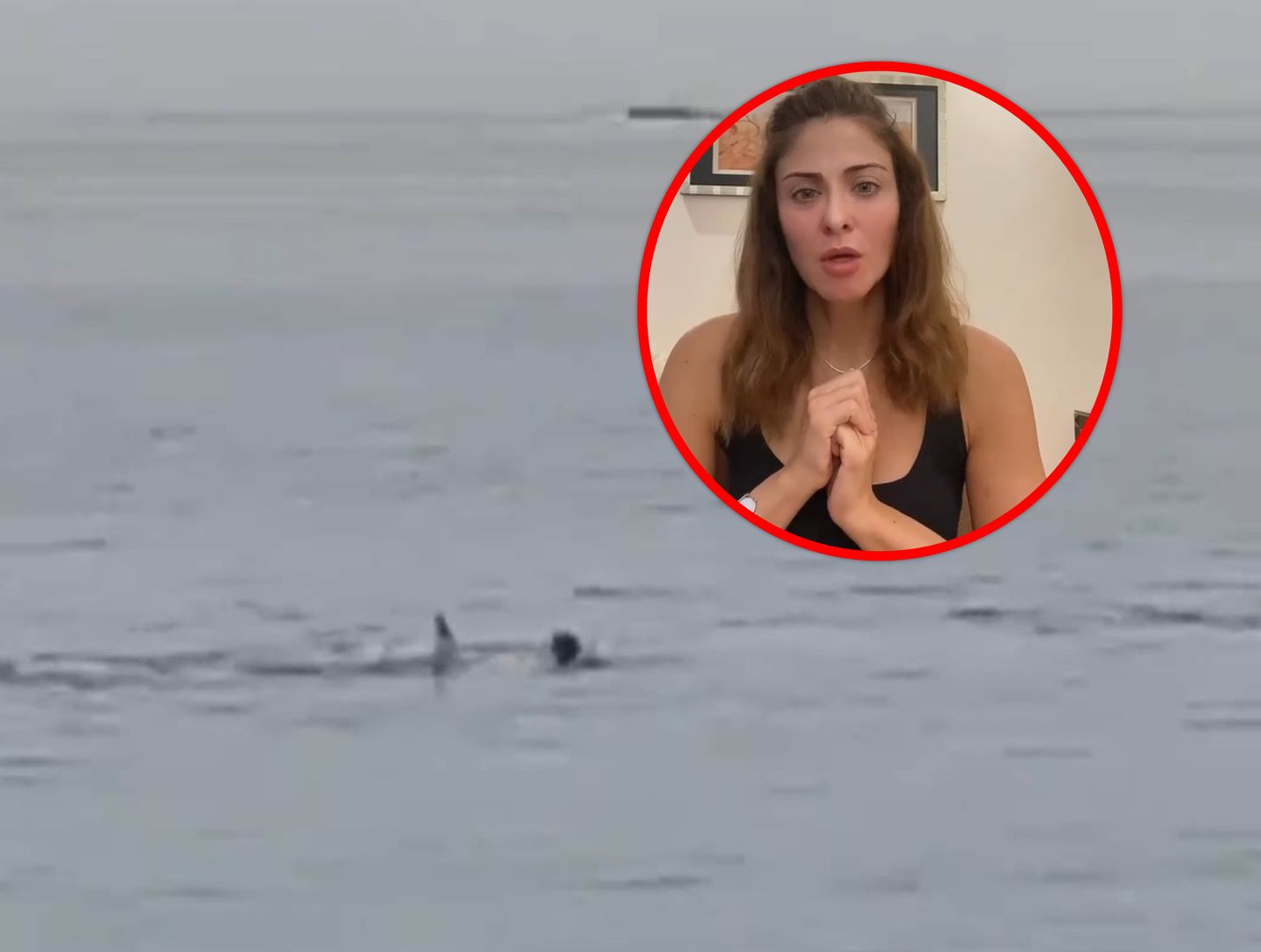 Rekin zabił Rosjanina. Egipska aktorka krytykuje schwytanie żarłacza