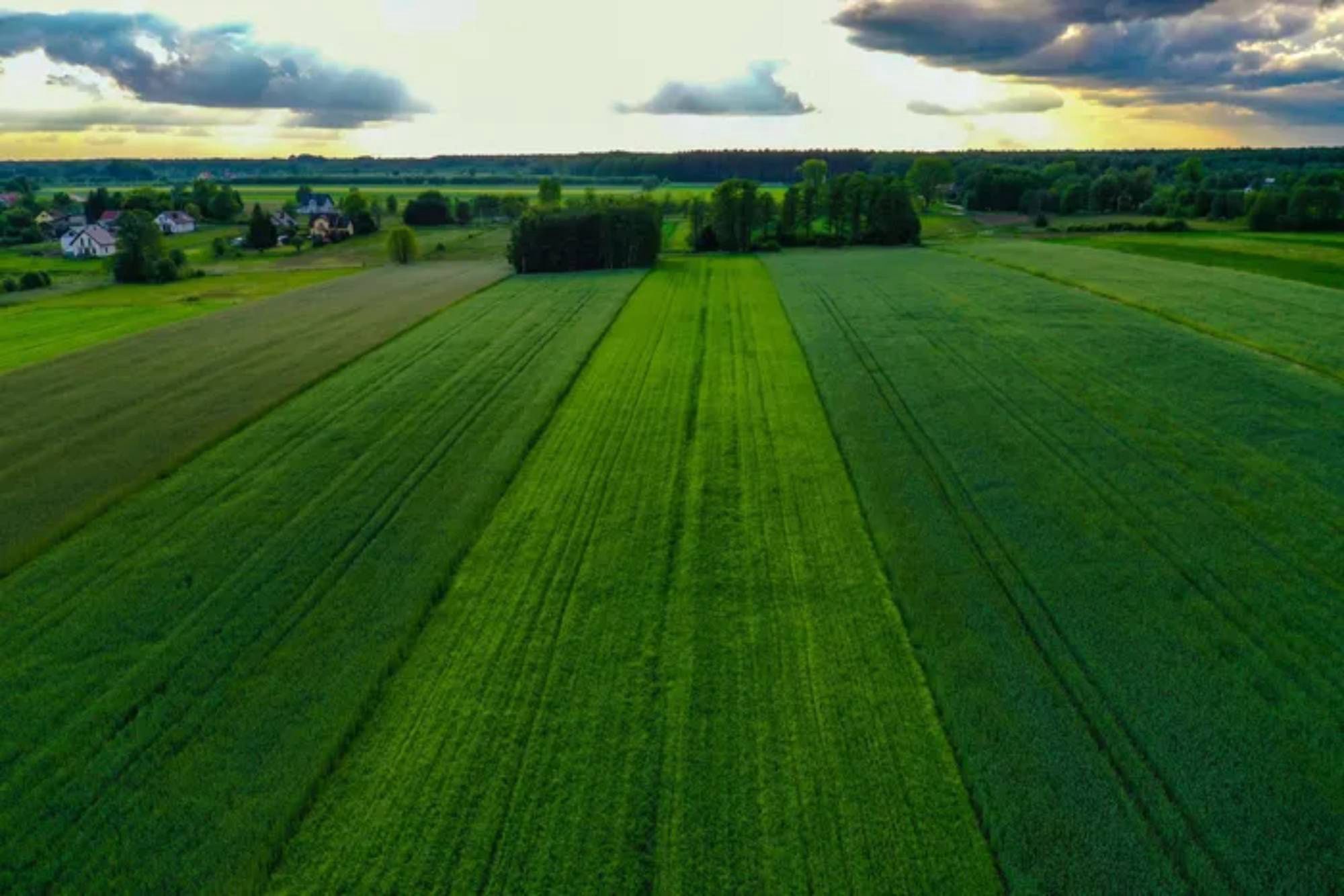 Rolnicy, firmy i instytucje zyskają łatwiejszy dostęp do danych 
