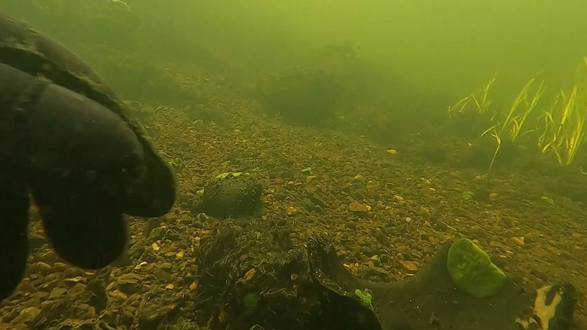 Znaleźli to na dnie rzeki. Trwają podwodne badania