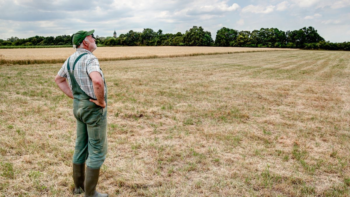 Rolnik na suchym polu