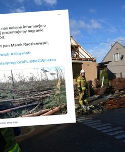 Trąba powietrzna obaliła las w Dobrzycy. Stos drzew na ziemi