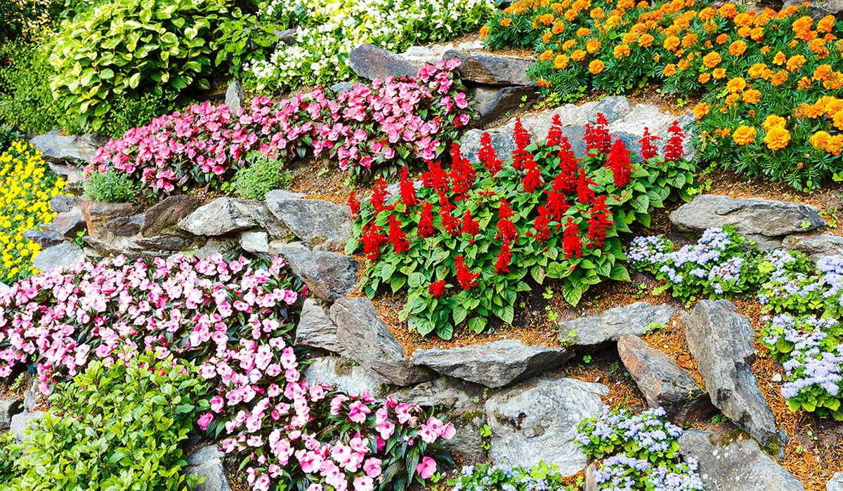 Ogród skalny. Powrót hitu. Tak samodzielnie stworzysz górski krajobraz