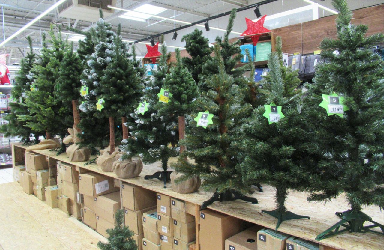 Czesi na świątecznych zakupach w Polsce. Narzekają na jeden produkt