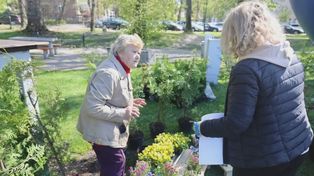 Kartuzy: Wymień makulaturę na sadzonki. Zapraszamy do Parku Solidarności