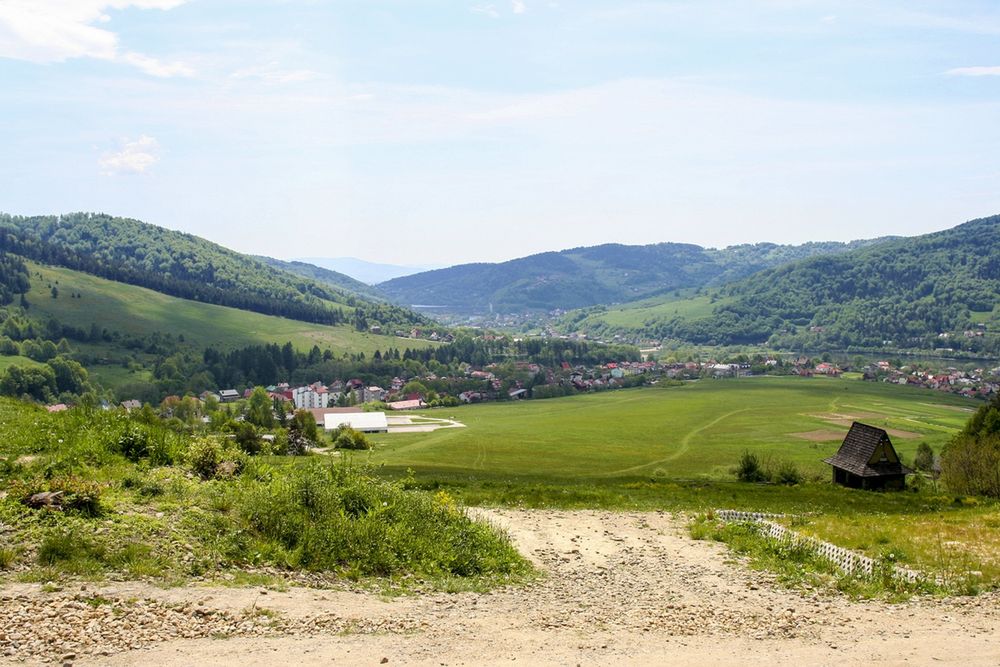 Obraz