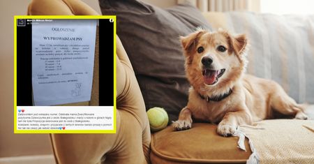Ogłoszenie 12-latki hitem internetu. Telefony się urywają