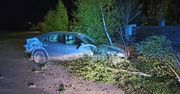 Rybitwy: Pijany 23-latek ukradł auto koledze i wjechał w płot