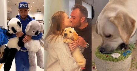 Karolina Pisarek relacjonuje ROCZEK swojego psa: TORT, pluszaki na prezent i urodzinowy spacer... (ZDJĘCIA)