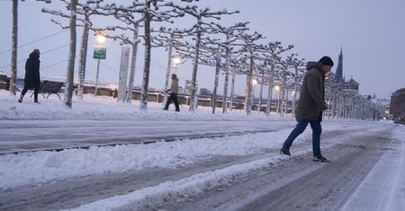 Potężny atak zimy w Niemczech. Meteorolodzy ostrzegają