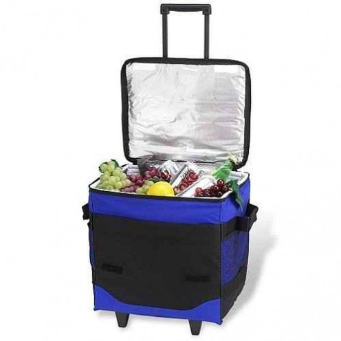 Picnic Cooler idealny do samochodu? 2
