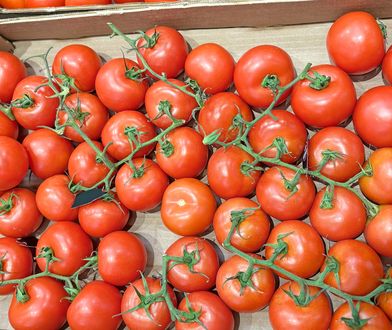 Ceny pomidorów poszły w górę. Prognozy nie są optymistyczne
