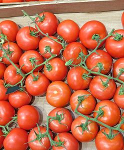 Ceny pomidorów poszły w górę. Prognozy nie są optymistyczne