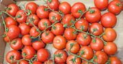 Ceny pomidorów poszły w górę. Prognozy nie są optymistyczne