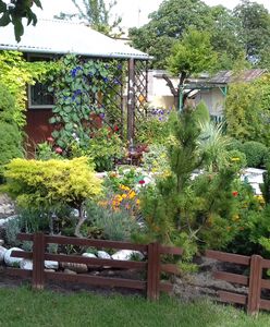 Masz działkę? Pamiętaj, że nie wszystko ci wolno