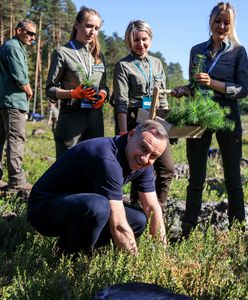 Przyjechał i posadził las. Zostały pnie i plac utwardzony kruszywem