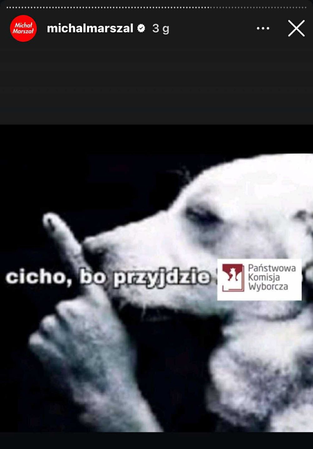Wybory prezydenckie 2025, memy