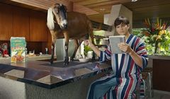 Ashton Kutcher dojąc kozę reklamuje tablety Lenovo Yoga 2 (wideo)