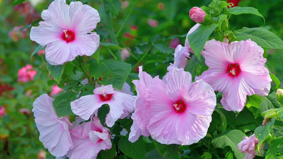 Krzyżówka z wiedzy ogólnej