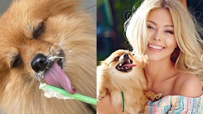 Joanna Opozda karmi psa bitą śmietaną?