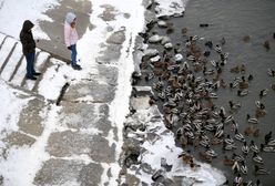 Pogoda dla Polski. Najgorzej będzie w nocy. Zima nie powiedziała ostatniego słowa
