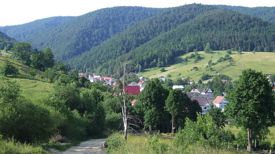 Szczawnik