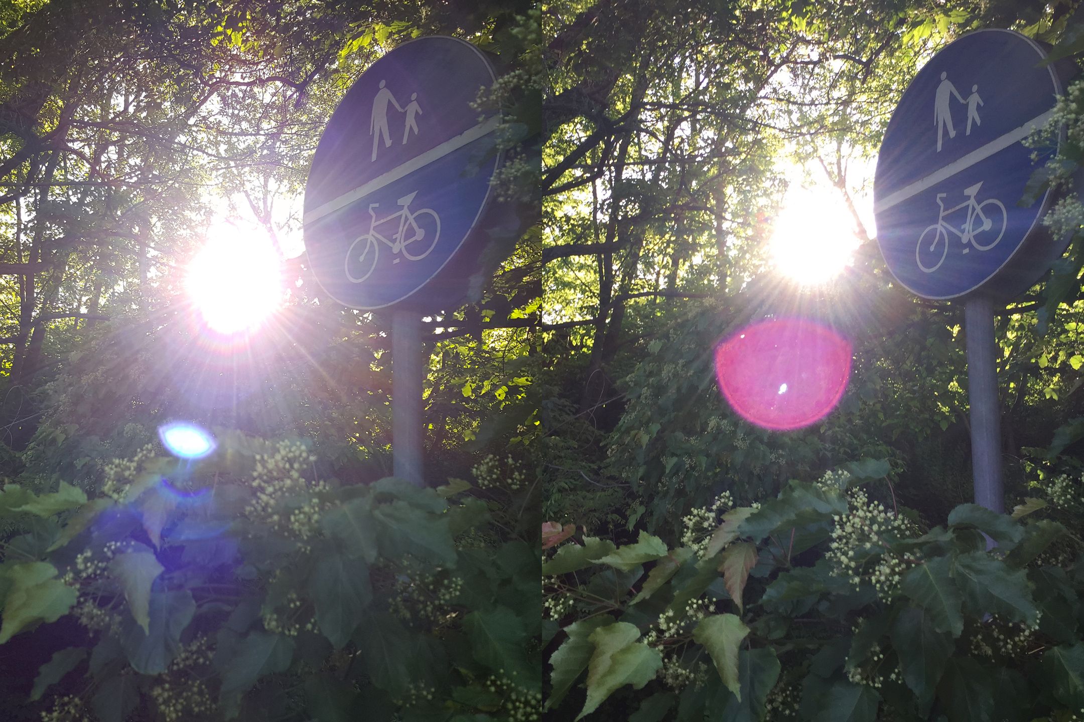 Samsung Galaxy S6 – test fotograficzny 91