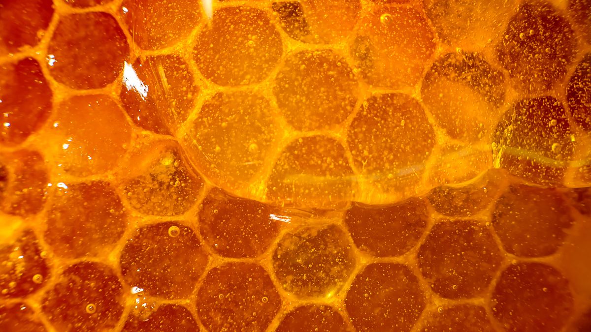 Jak wybrać najlepszy miód? Podpowiadamy