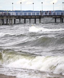 Zwłoki na plaży w Polsce. Na miejscu prokurator